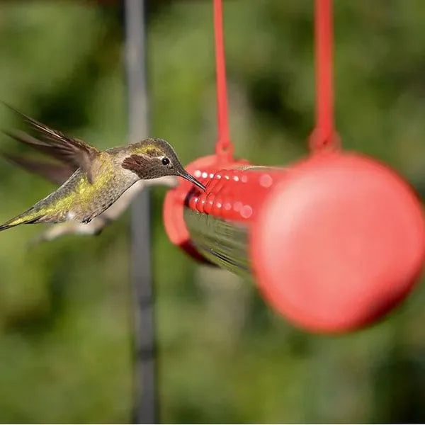 Bircana HummiFeeder