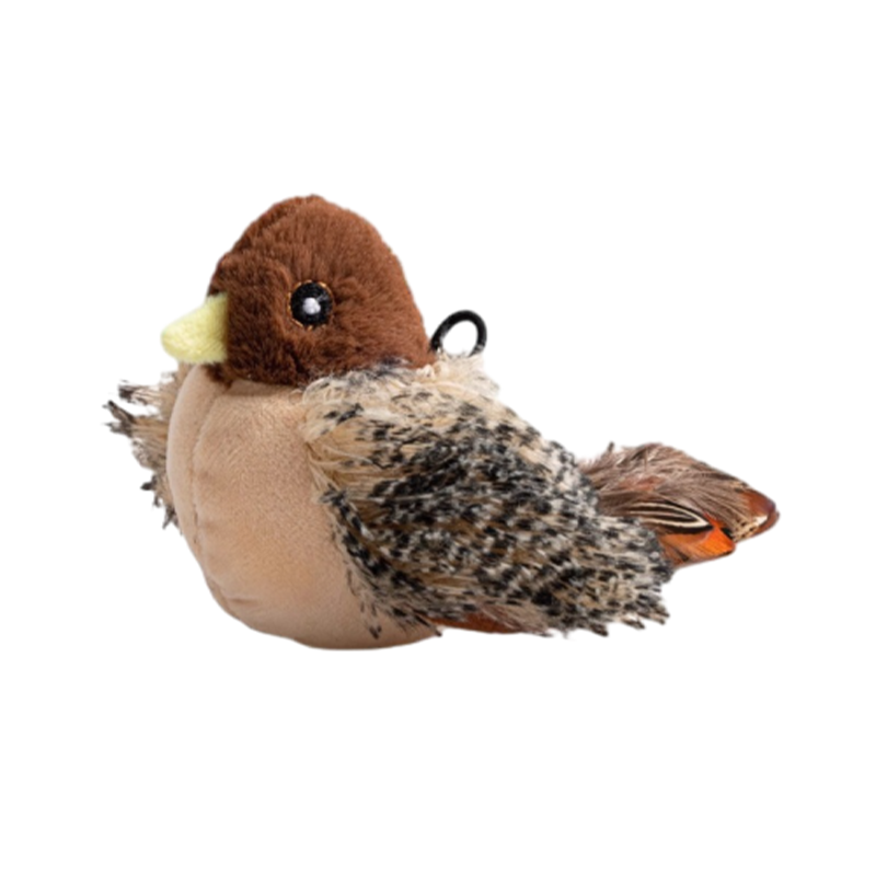 PetsBoro Flyer PlumeAmusante
