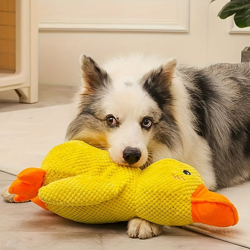 PetsBoro Canard apaisant