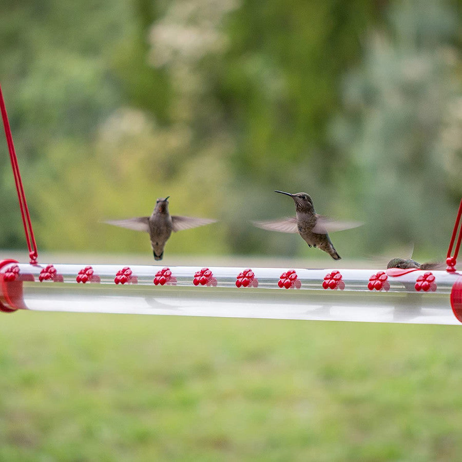 Bobs Bester Kolibri-Futterspender