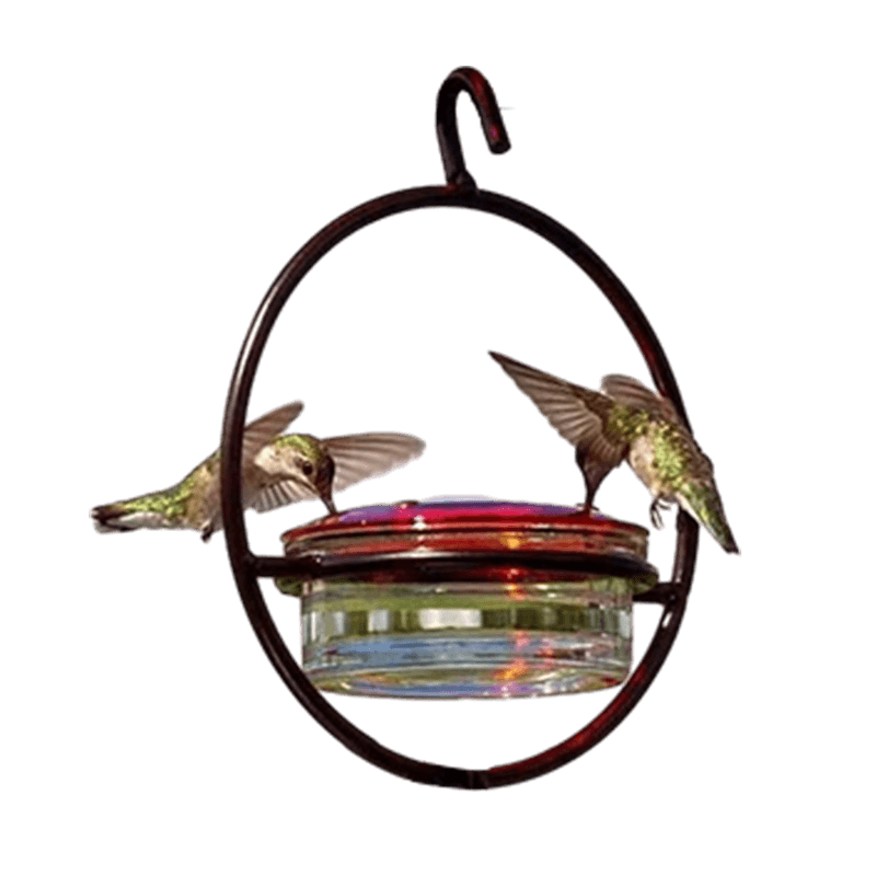 Mangeoire circulaire pour colibris Sherem