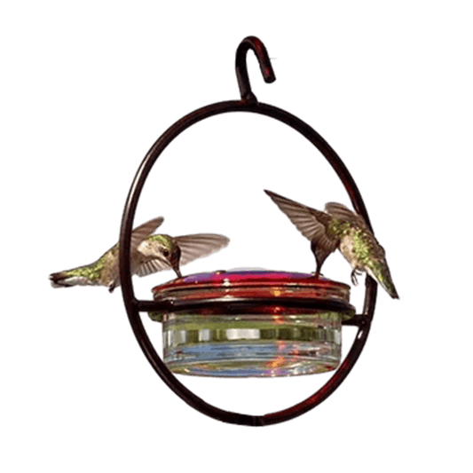 Mangeoire circulaire pour colibris Sherem