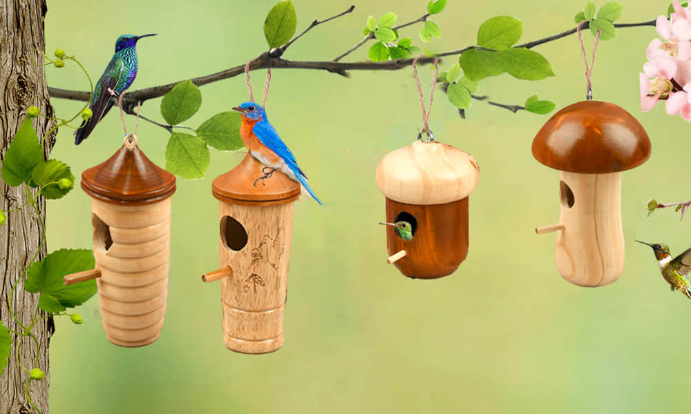 Maison Colibri Champignon