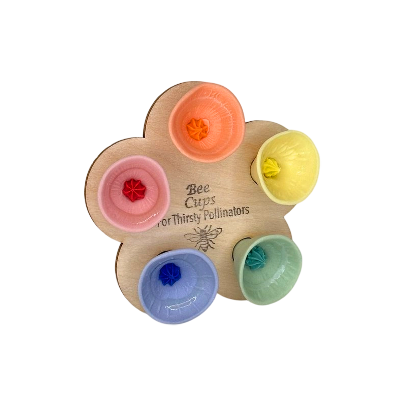 Esslyn™ Blütenwasserbecher