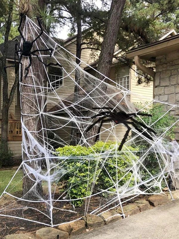 Halloween-Dekoration Spinnennetz und Spinne