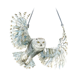 SheremArt Spirit Birds