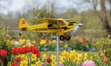 Esslyn SkyDreamer Cub