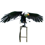 SheremArt™ LibertyWing