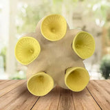 Esslyn™ Blossom Water Cups