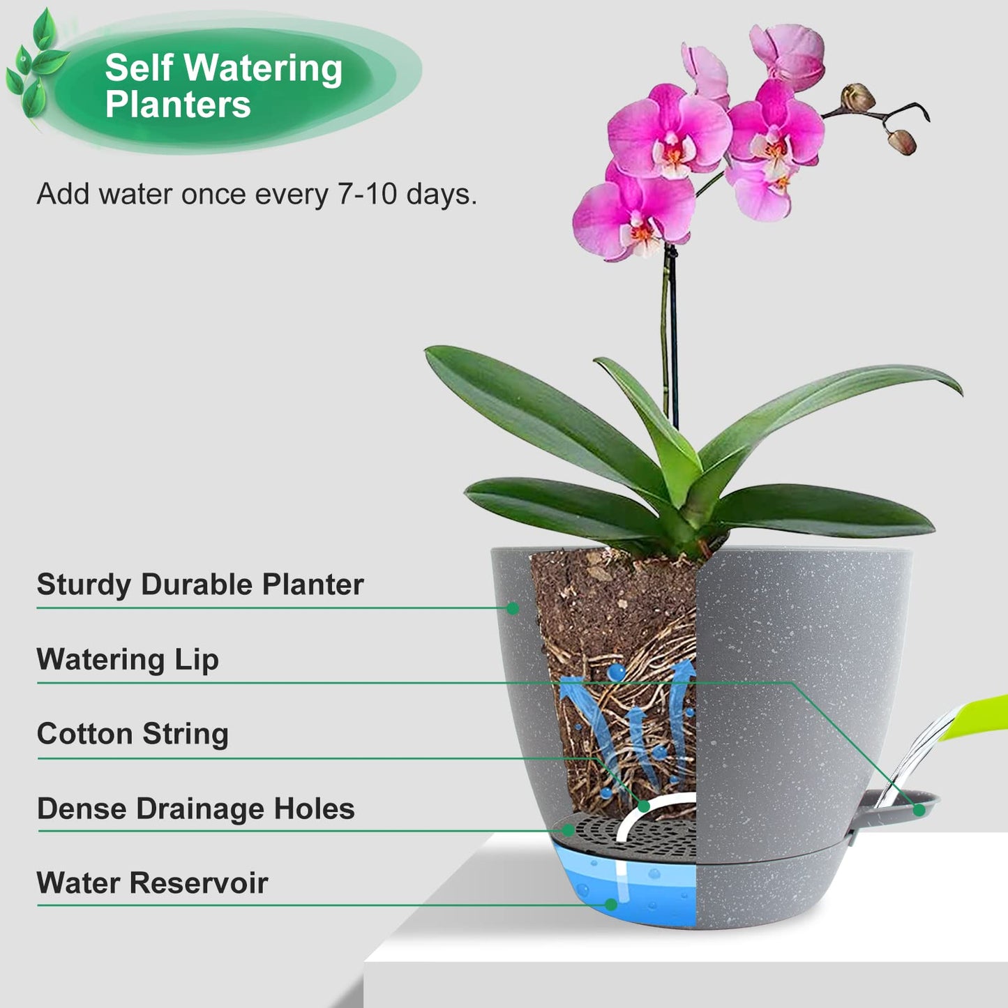 Pots de fleurs à réserve d'eau