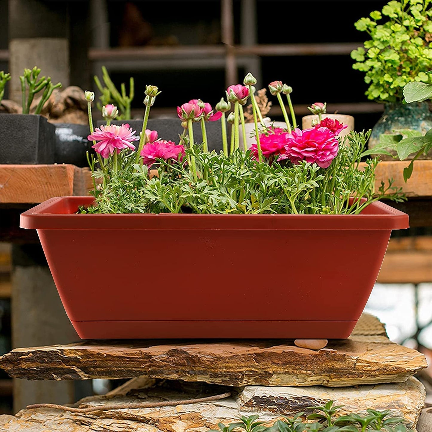 Rechteckiger Blumenkasten