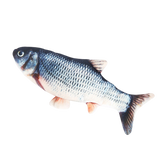 Petlori™ FlipFish