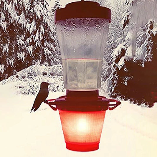 Chauffe-mangeoire pour colibris pour l'extérieur en hiver