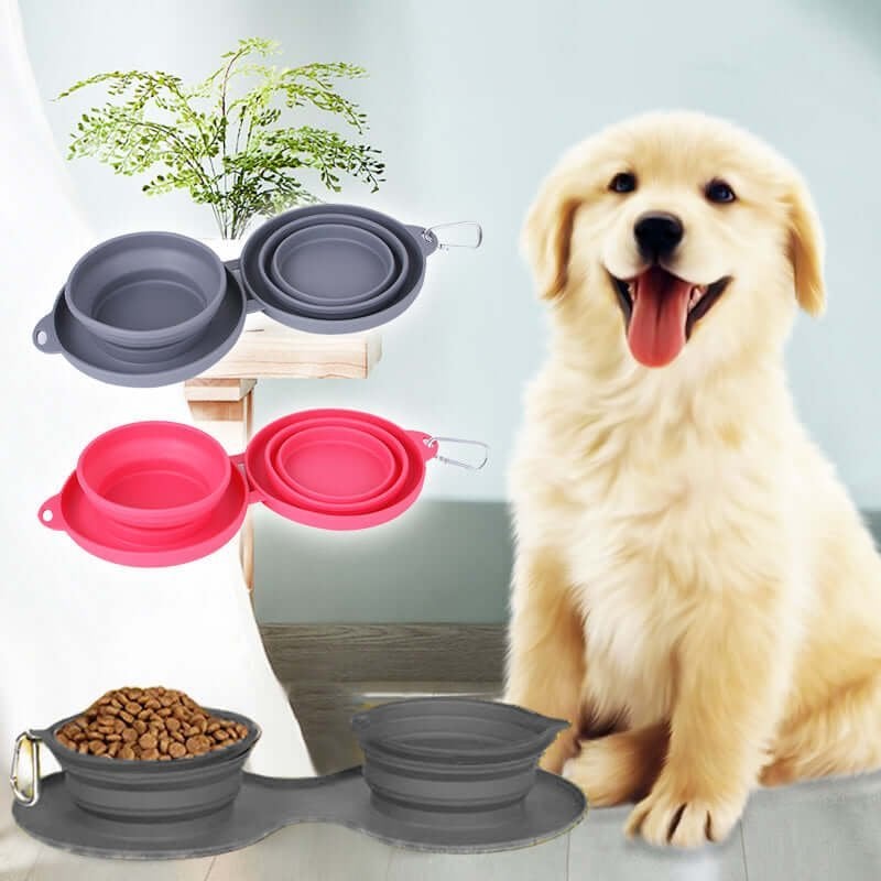 Ensemble gamelle de voyage pour chien
