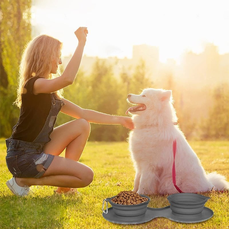 Ensemble gamelle de voyage pour chien