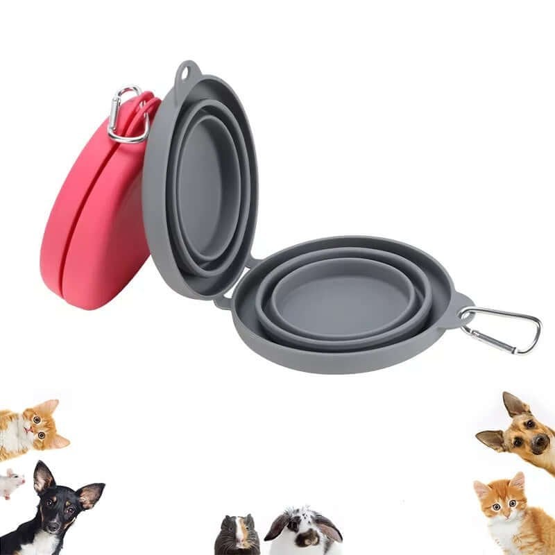 Ensemble gamelle de voyage pour chien