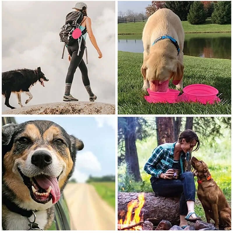 Ensemble gamelle de voyage pour chien