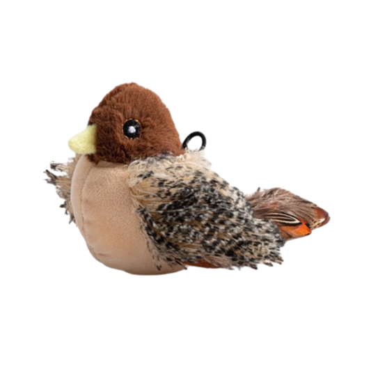 PetsBoro Flyer PlumeAmusante