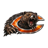 Vueeze™ NFL IronMark
