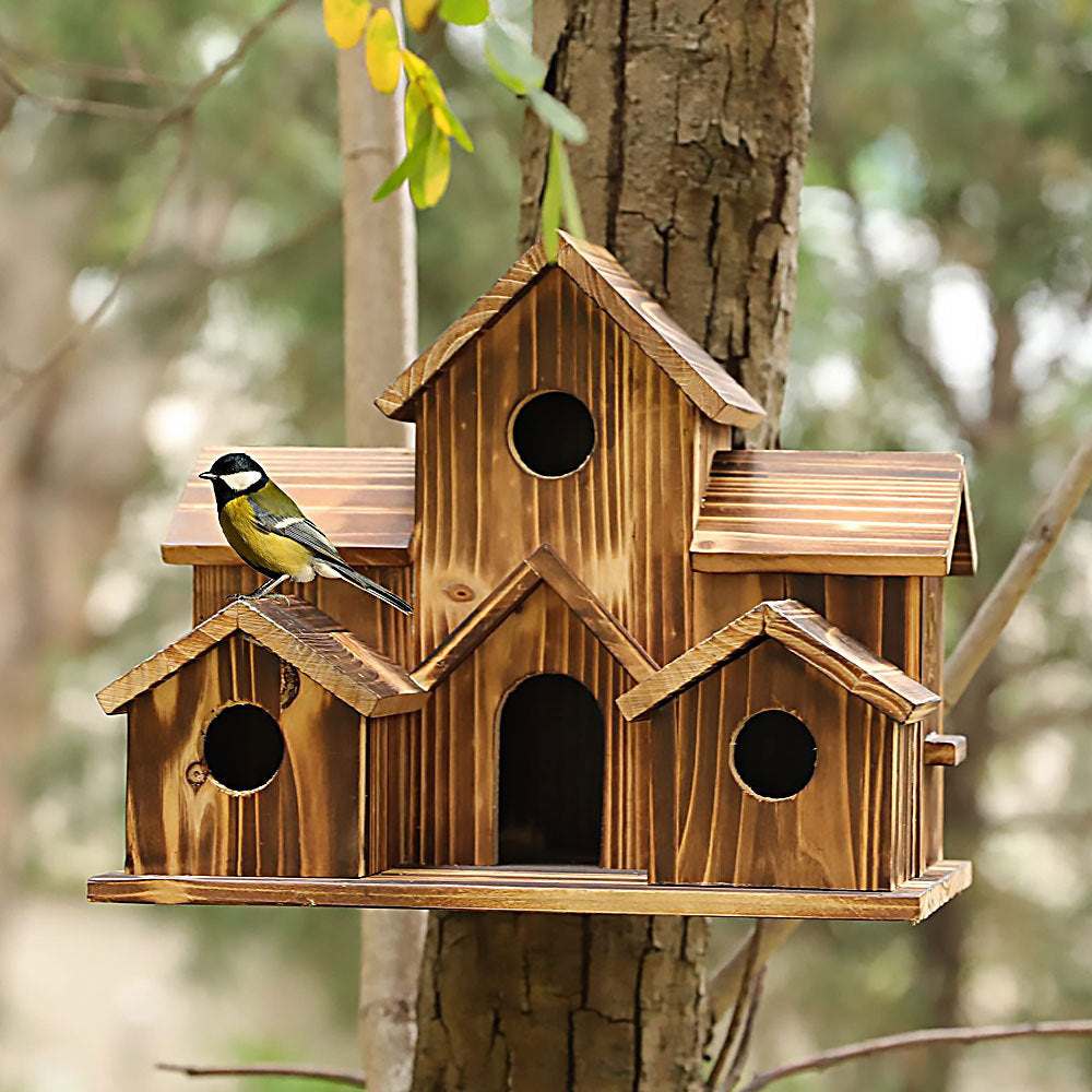 Niche à oiseaux artisanale à 6 trous - CADEAU POUR LES AMOUREUX DE LA NATURE