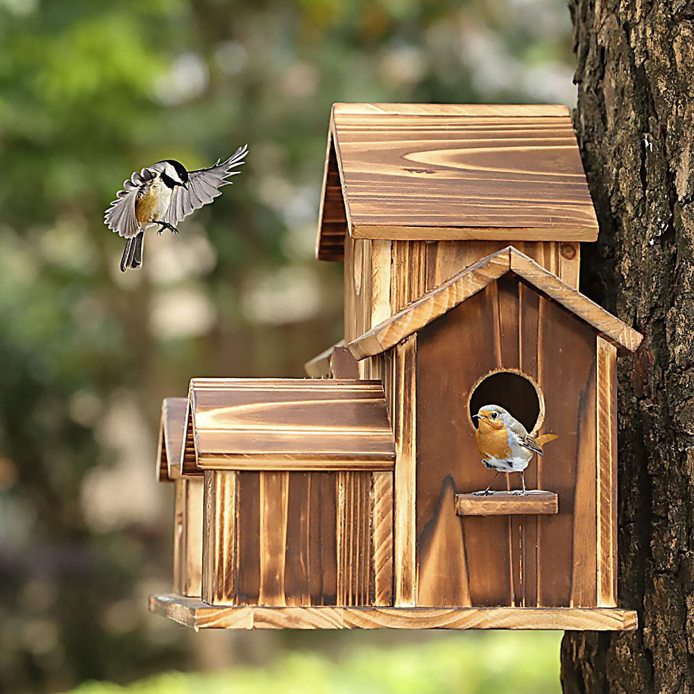 Niche à oiseaux artisanale à 6 trous - CADEAU POUR LES AMOUREUX DE LA NATURE