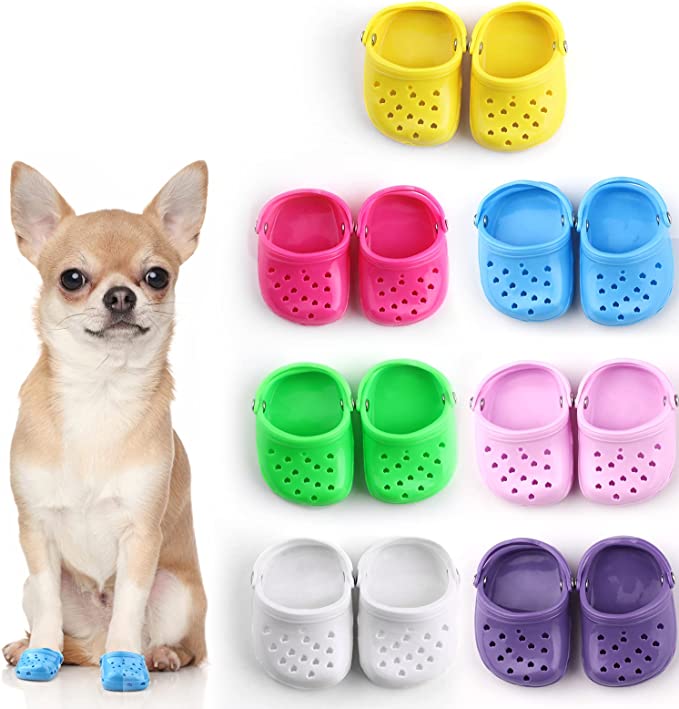 Crocs pour chiens 2022 pour petits chiens
