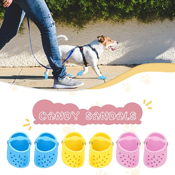 Crocs pour chiens 2022 pour petits chiens
