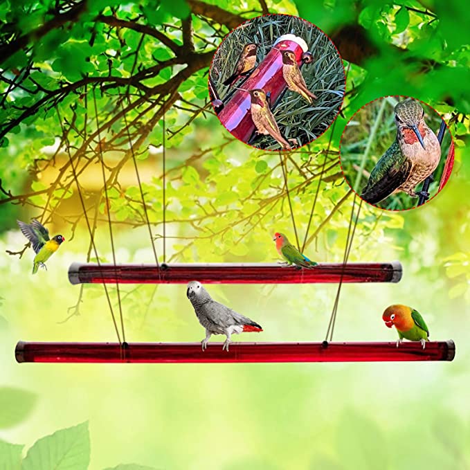 Annas Bester Kolibri-Futterspender