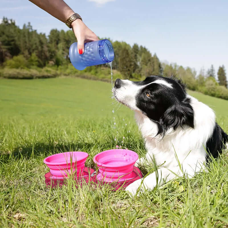 Ensemble gamelle de voyage pour chien