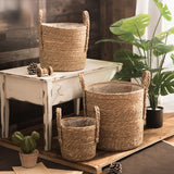 Seaweed Straw Flowerpot