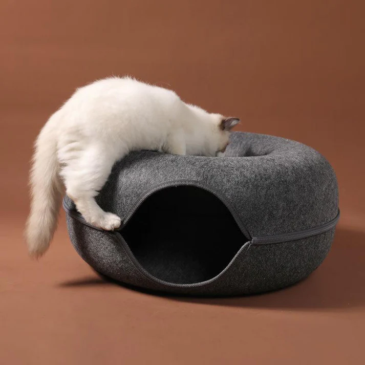 Cat Hole, donuts for kittens