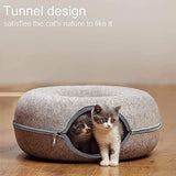 Cat Hole, donuts for kittens