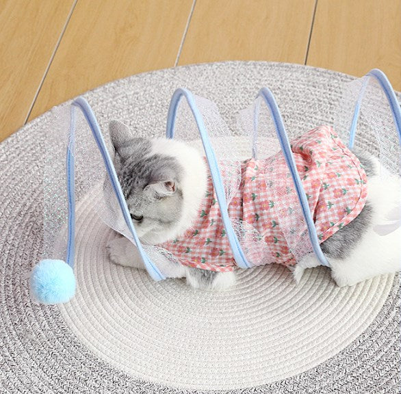 Joyhnny Pawspring Katzentunnel