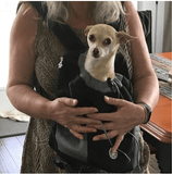 Dog Backpack