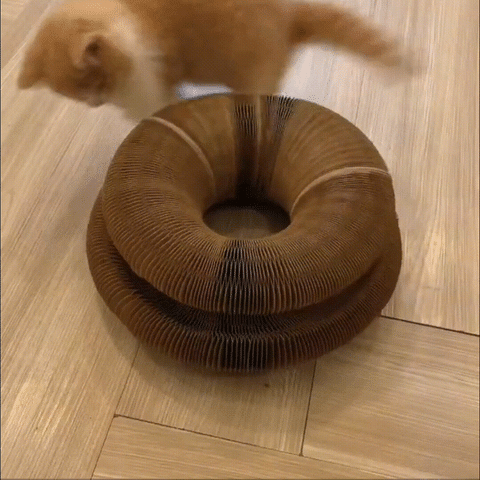 Griffoir magique en carton pour chat