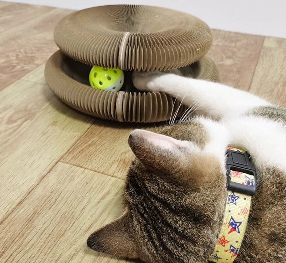Griffoir magique en carton pour chat