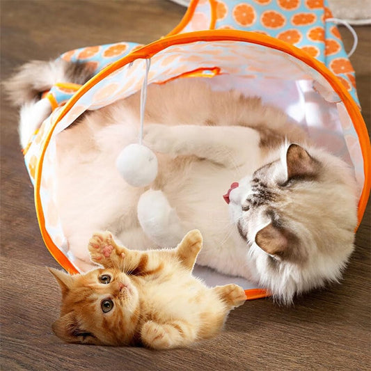 🌟VENTE CHAUDE😸Sac Tunnel pour Chat (Lot de 2)