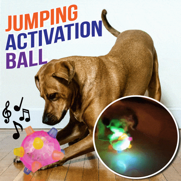 💥Hot Sale💥Jumping Activation Ball for Dogs（Blue+Pink）