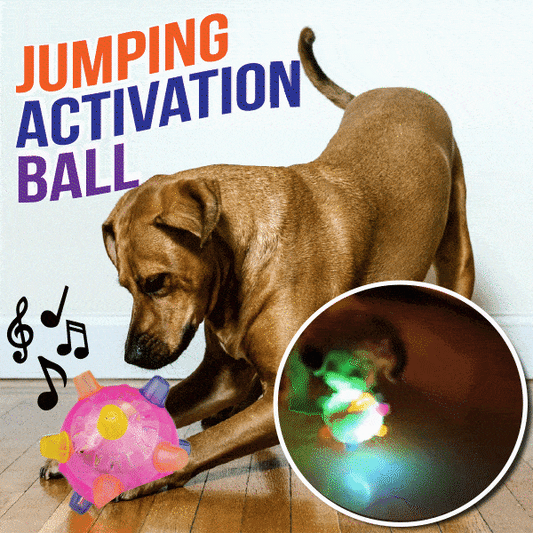 💥Vente Flash💥Balle d'activation rebondissante pour chiens (bleue + rose)