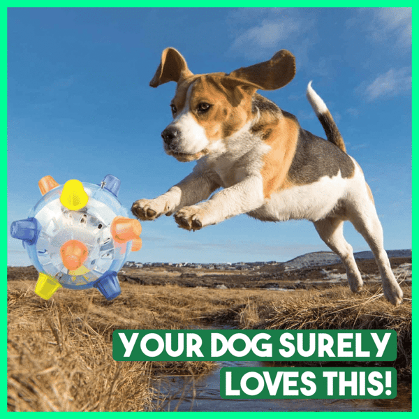 💥Heißer Verkauf💥Springender Aktivierungsball für Hunde (Blau+Pink)