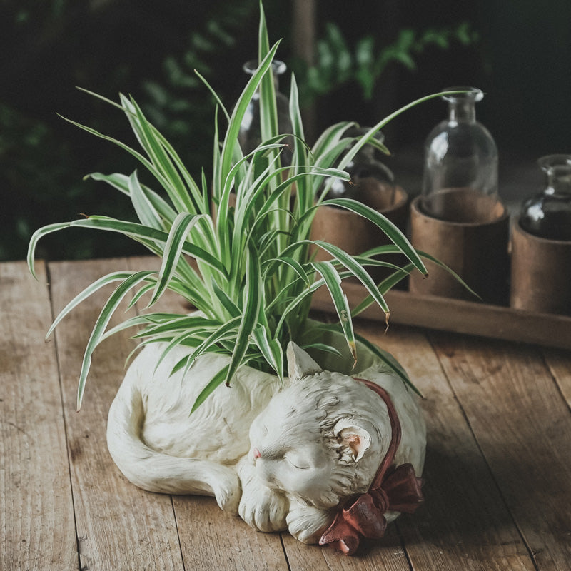 Creative Bonsai Cute White Cat Resin  Flower Pot