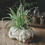 Creative Bonsai Cute White Cat Resin  Flower Pot