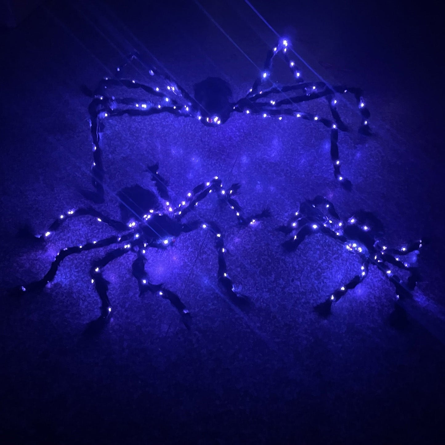 Halloween leuchtende Spinne