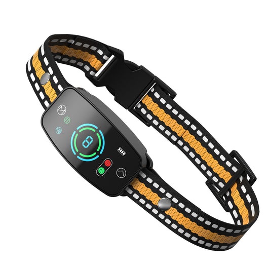 Collier de dressage Petlori