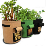 Potato Grow Bags