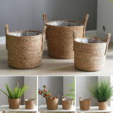 Seaweed Straw Flowerpot