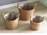 Seaweed Straw Flowerpot