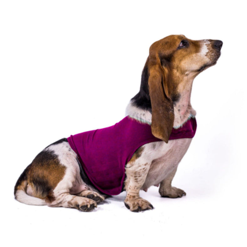 Keilini Angst-Hundejacke