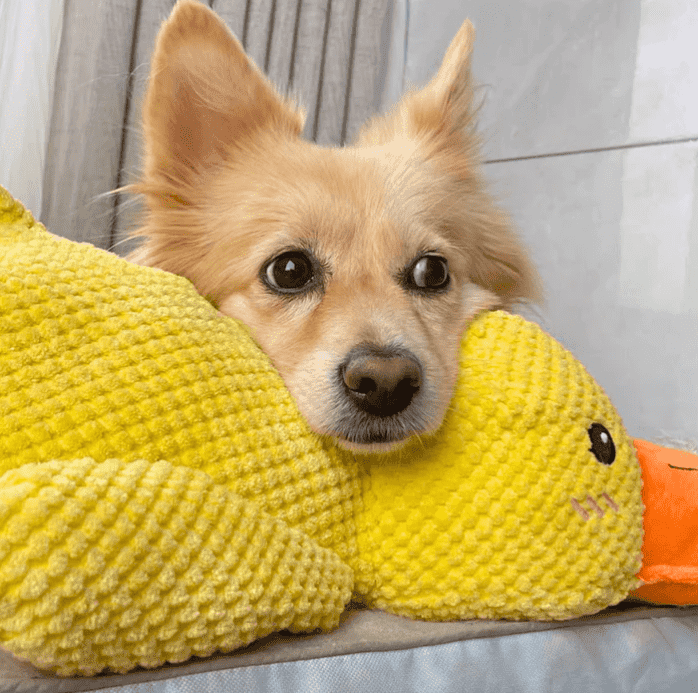 PetsBoro Canard apaisant
