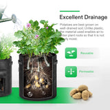 Potato Grow Bags